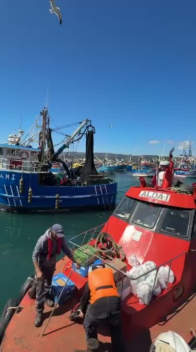 Flota de embarcaciones pesqueras fondeada en la bahía de Talcahuano